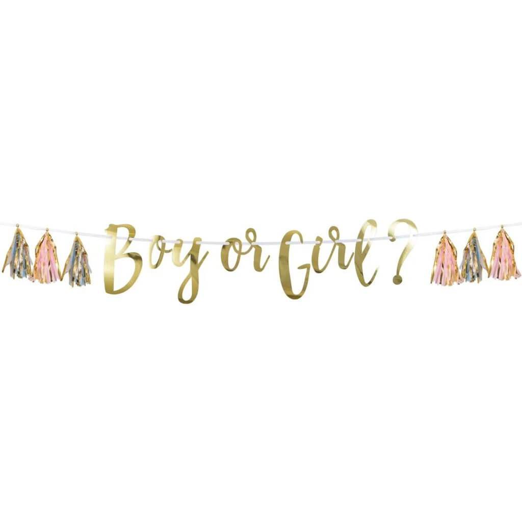 Pink, Blue, And Gold Boy or Girl Tassel Banner