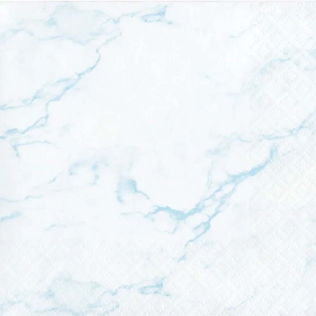 Blue Marble Beverage Napkin