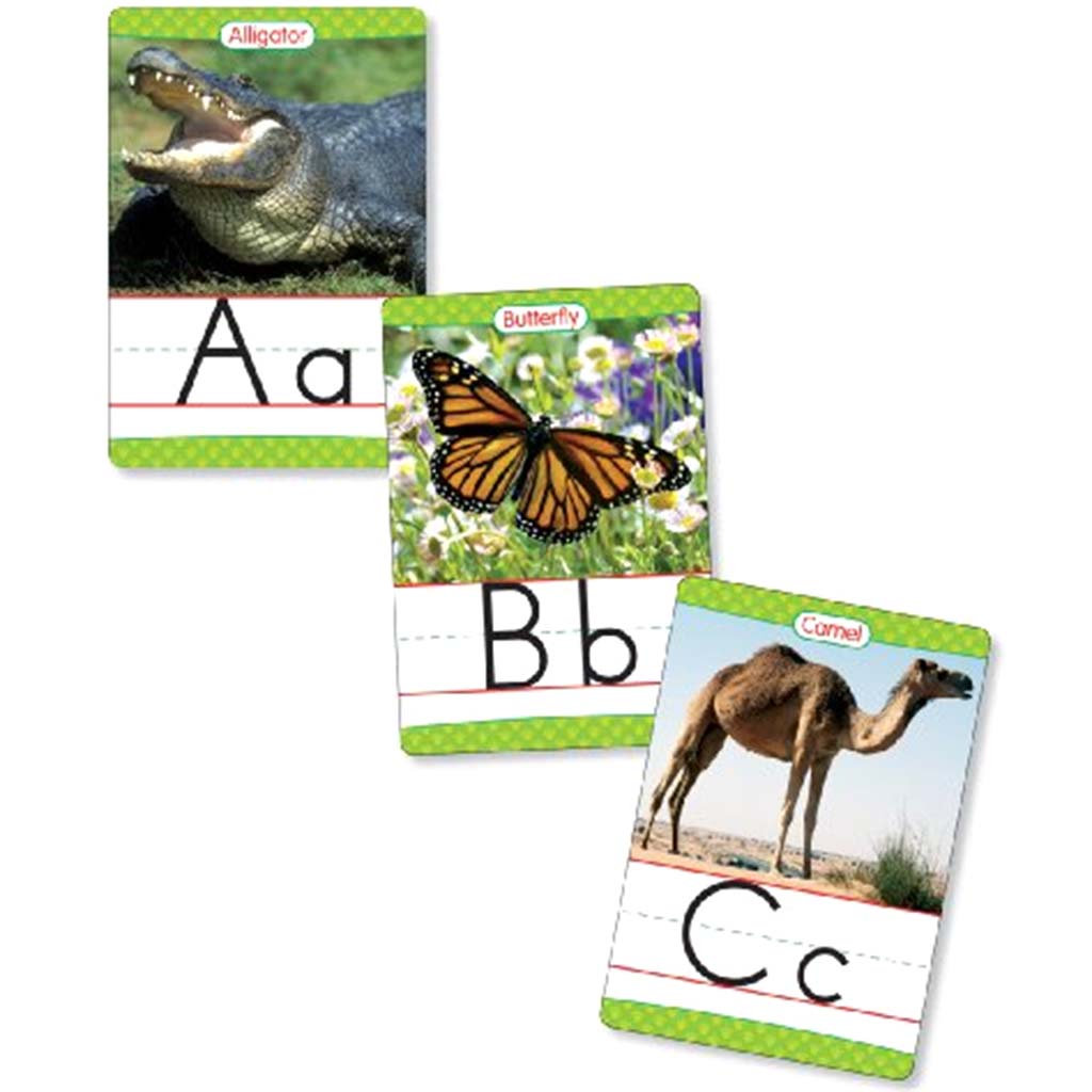 Animals From A To Z Alphabet Set: Manuscript