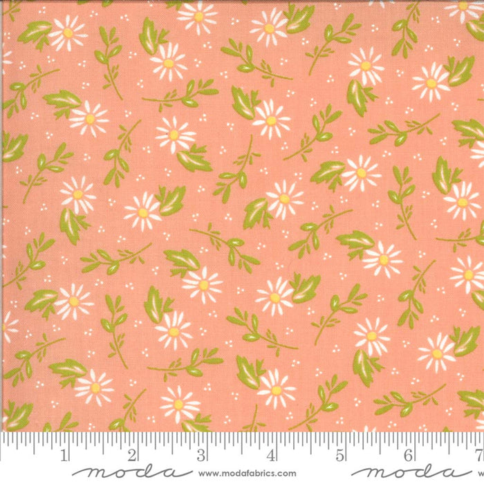 Happy Days Dainty Peach