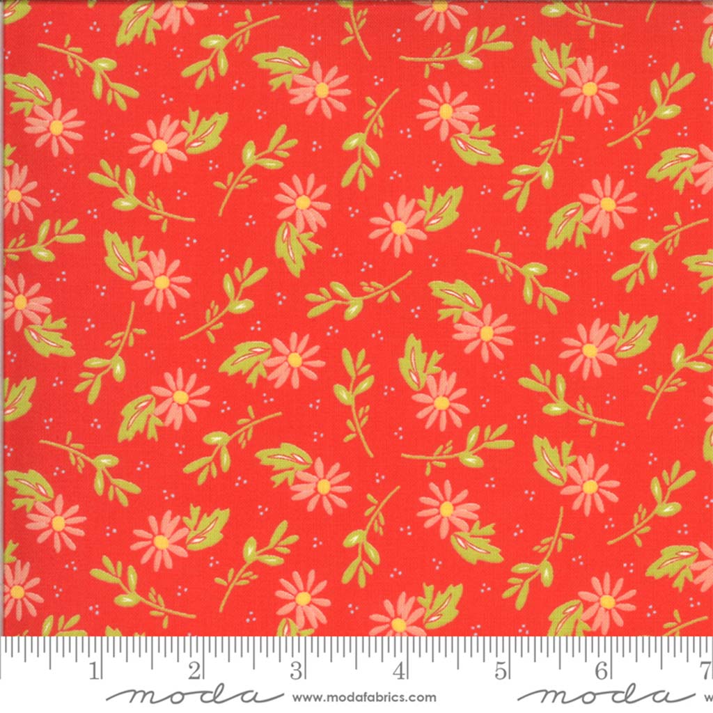 Happy Days Dainty Geranium