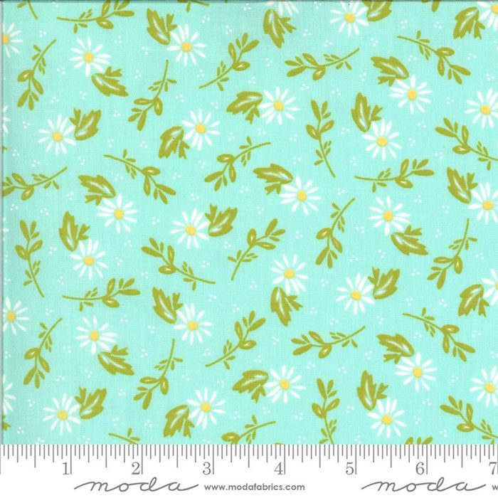 Happy Days Dainty Aqua