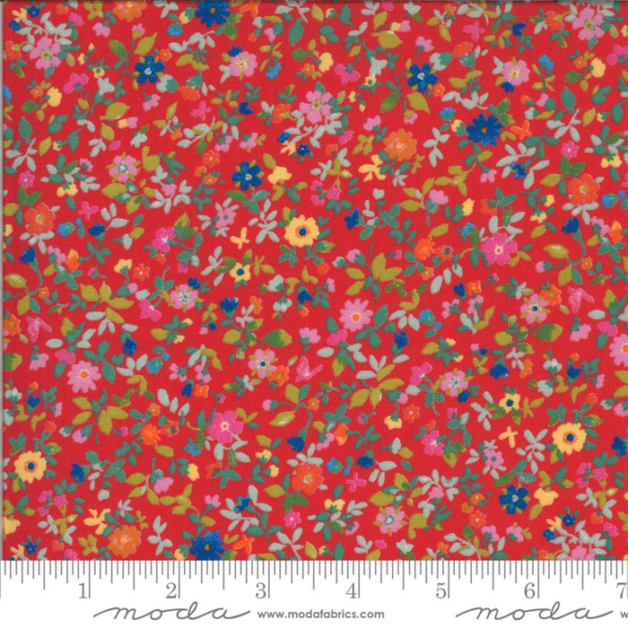 Lulu Packed Floral Geranium