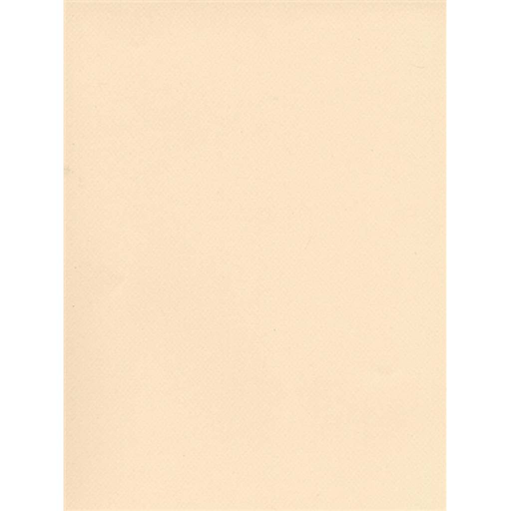 Mi-Teintes Paper Sheets, 8-1/2" x 11", Ivory 111