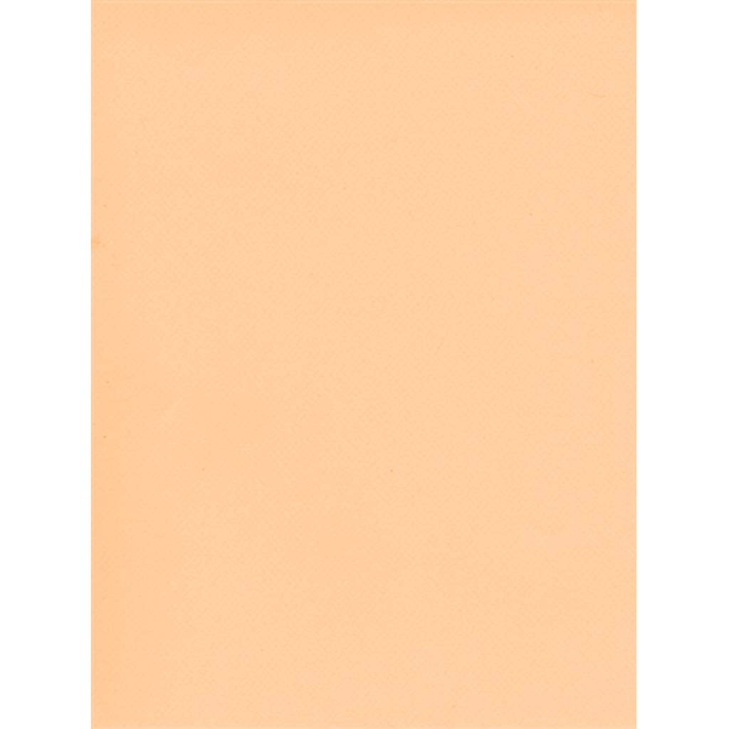 Canson Pastel Sheet Pad 8.5in x 11in Champagne