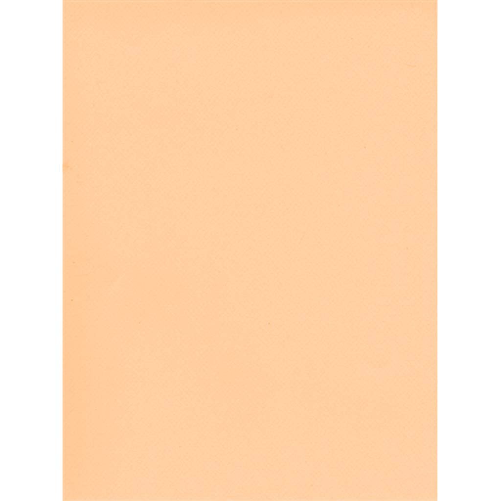 Canson Pastel Sheet Pad 8.5in x 11in Champagne