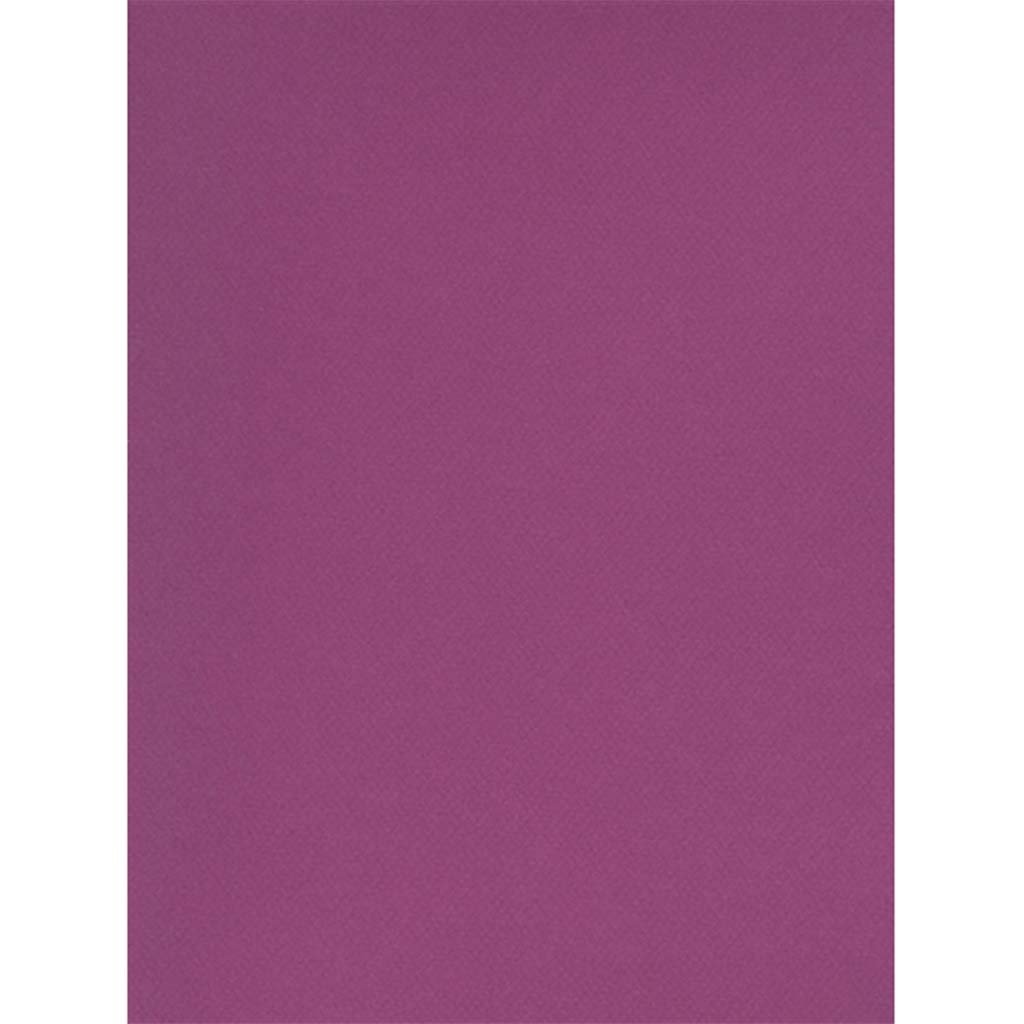 Daler Rowney Canson Mi-Teintes Pastel Paper 8.5in x 11in Violet