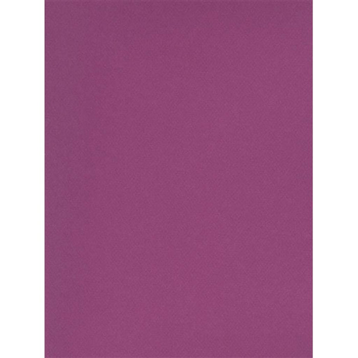 Daler Rowney Canson Mi-Teintes Pastel Paper 8.5in x 11in Violet