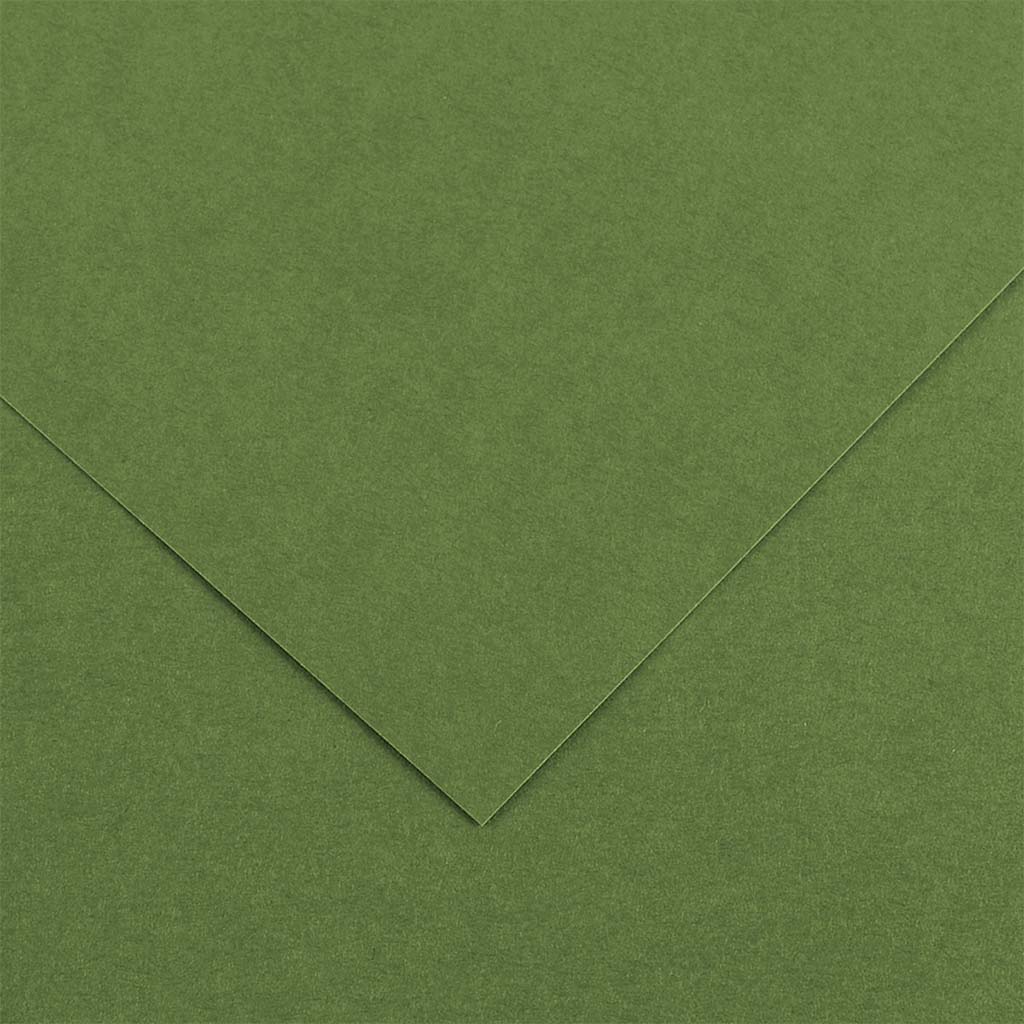 Canson Colorline Art Paper 19in x 25in 150gsm Khaki Green