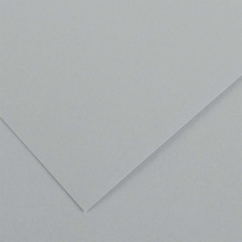 Canson Colorline Art Paper 19in x 25in 150gsm Pebble Gray