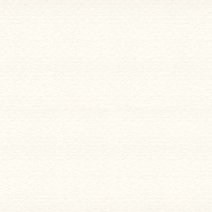 Strathmore 300 Series Watercolor Paper 22in x 30in 140lb Cold Press