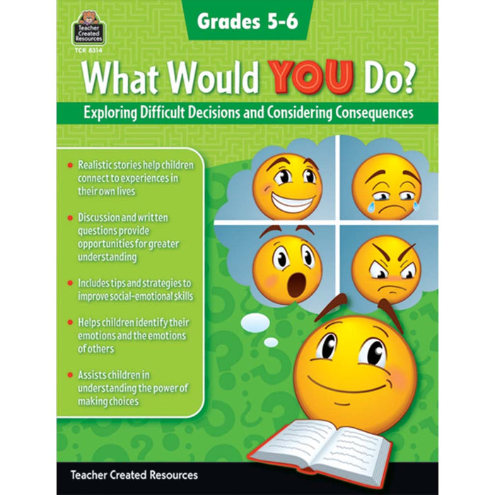 Exploring Difficult Decisions and Considering Consequences (Gr. 5–6)
