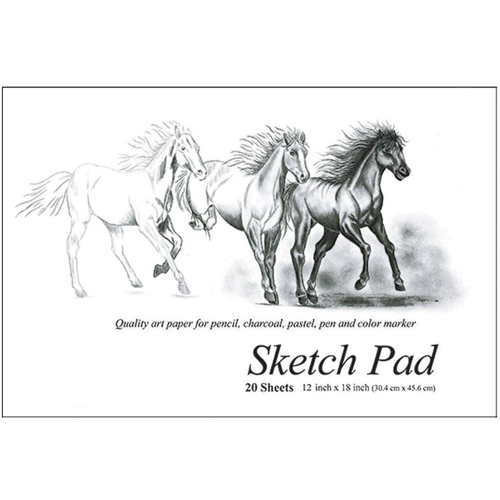 Bazic Sketch Pad 18in x 12in 20ct