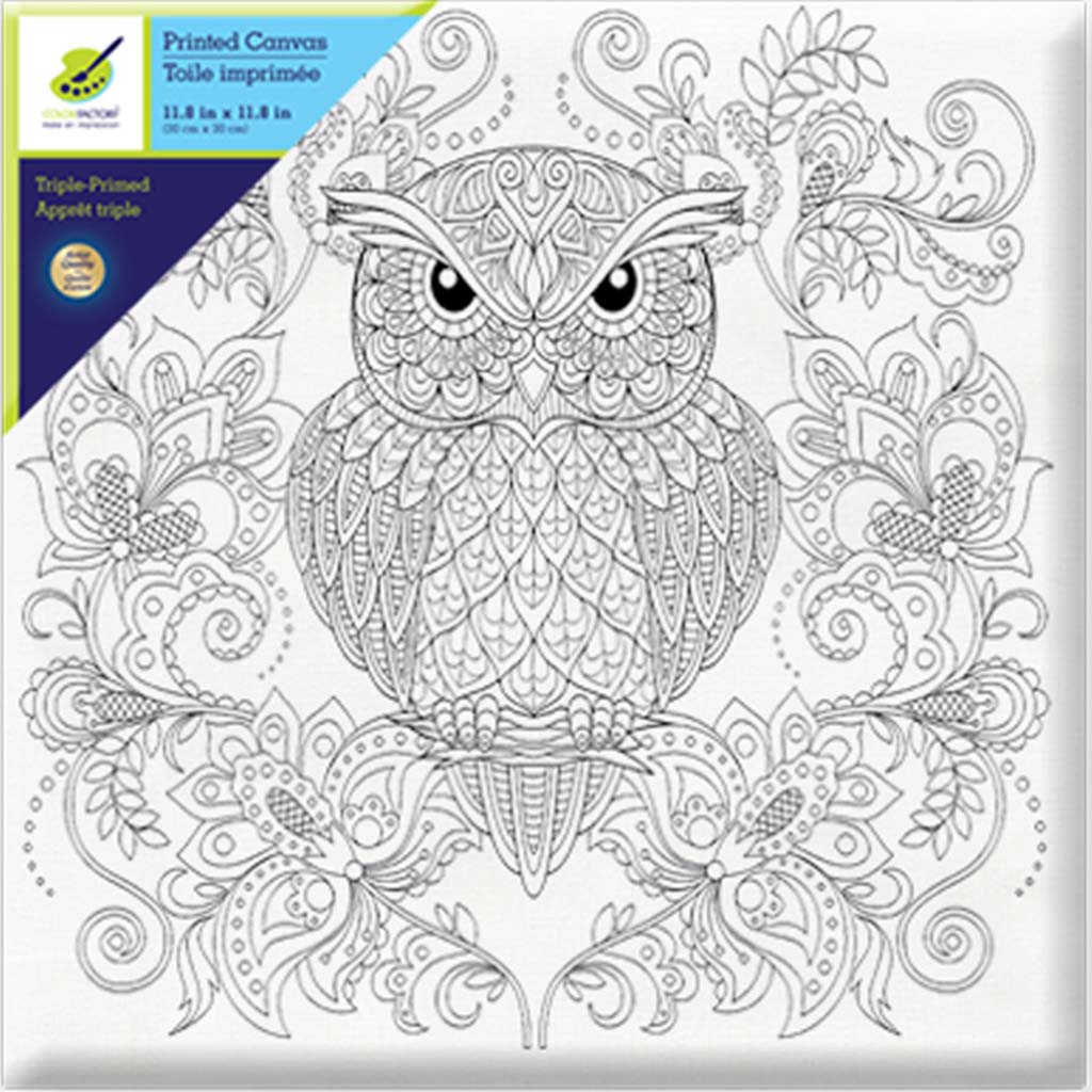 Printed Canvas Primed Back-Stapled 12in x 12in Owl