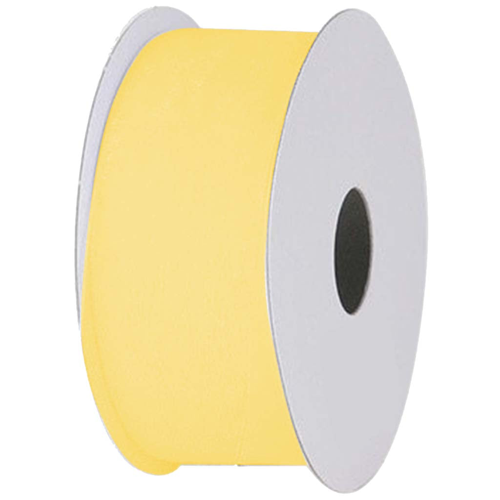 Ribbons & Trims Sheer Organza 3/8in x 5yd