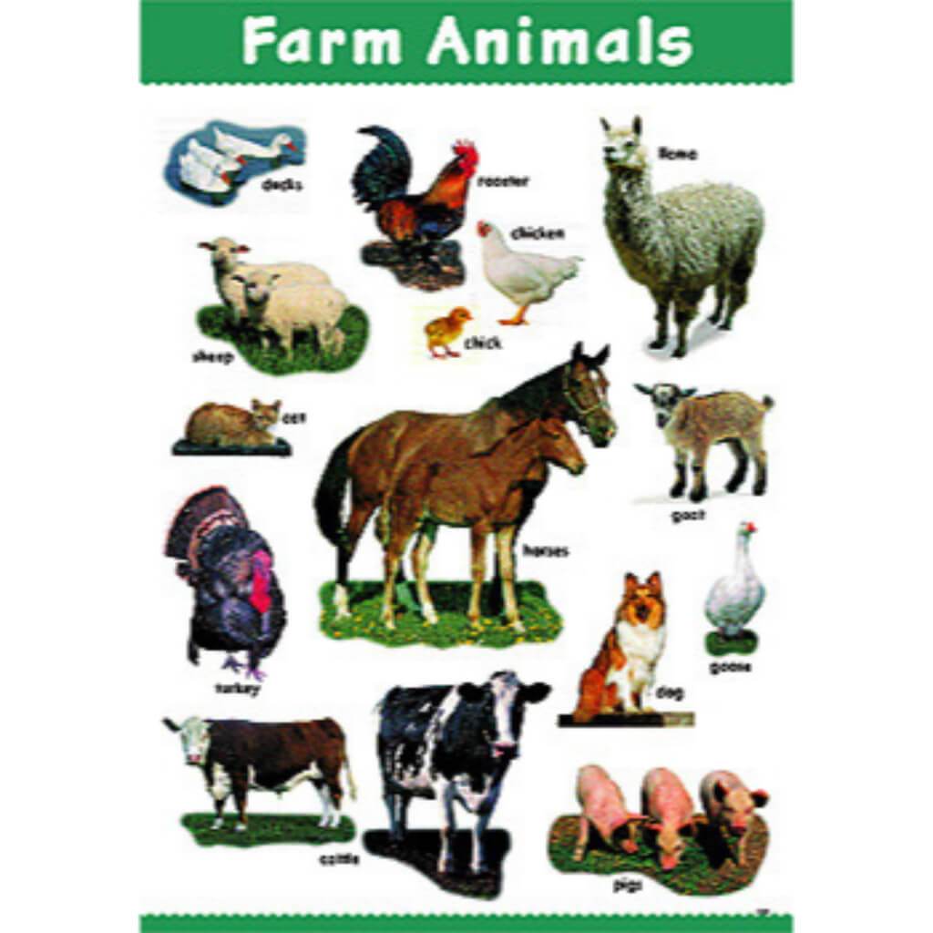 Farm Animals Look And Learn Chart 