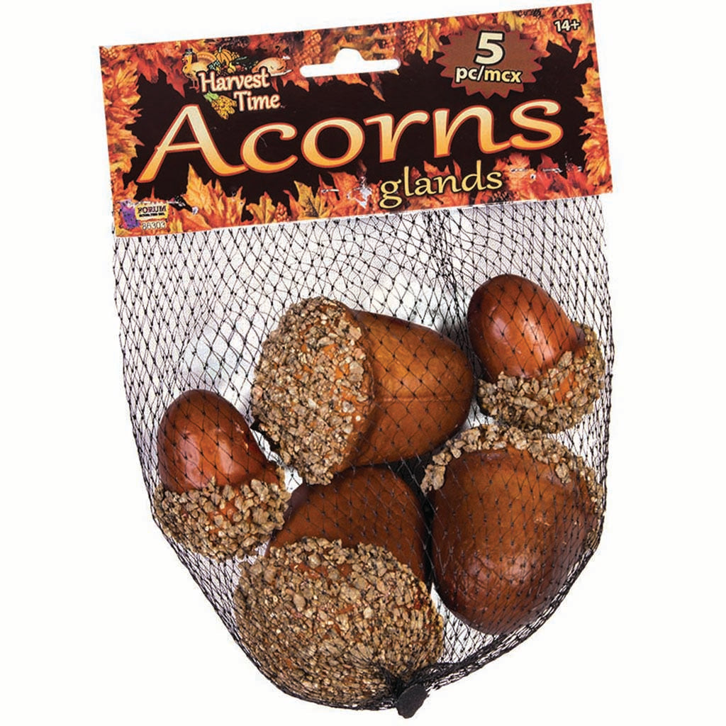 Decor Acorns 5Pcs in Bag