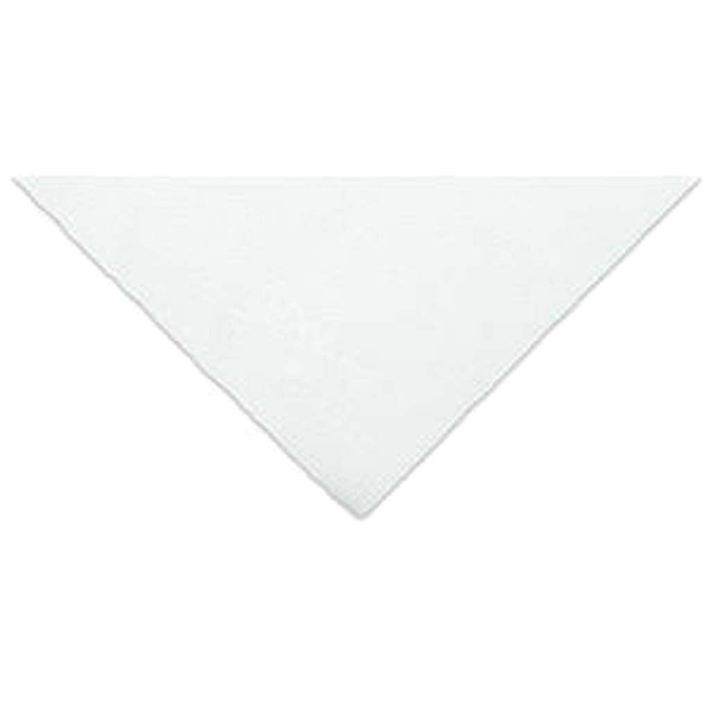 Watercolor Cold Pressed  22in x 30in 300lb / 640gsm Bright White