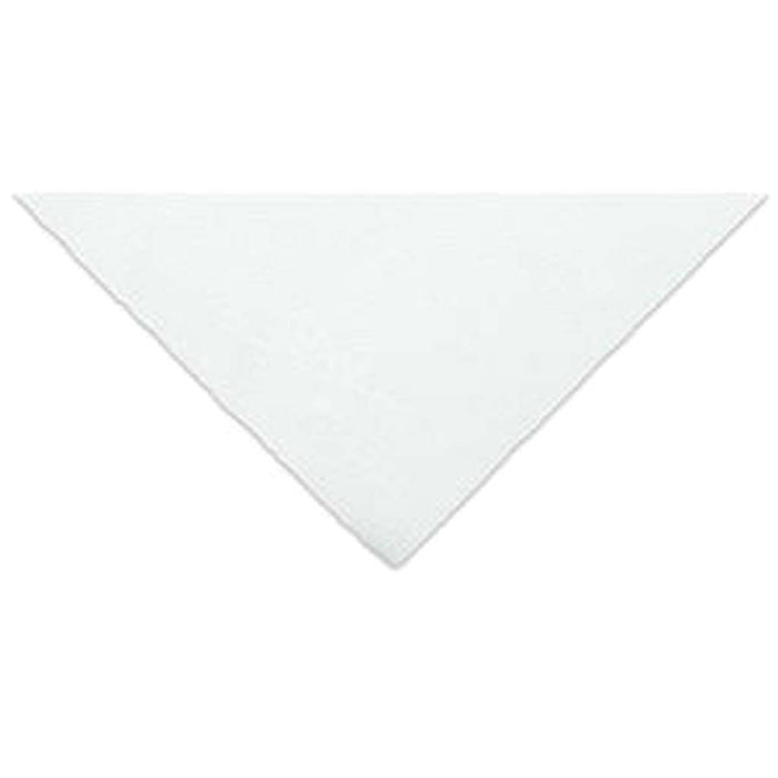 Watercolor Cold Pressed  22in x 30in 300lb / 640gsm Bright White