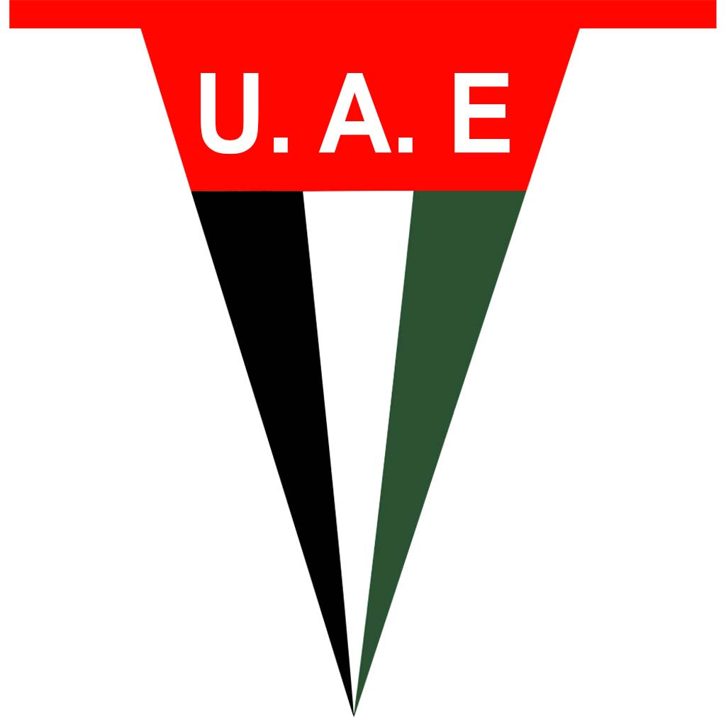 UAE Bunting Triangle Flag 150cm