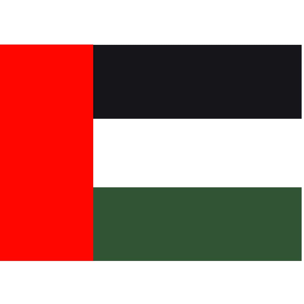 UAE Bunting Flag Big 135cm