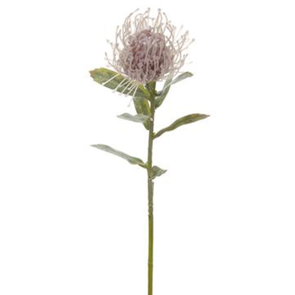 Glittered Metallic Leucospermum Spray 24in, Pink