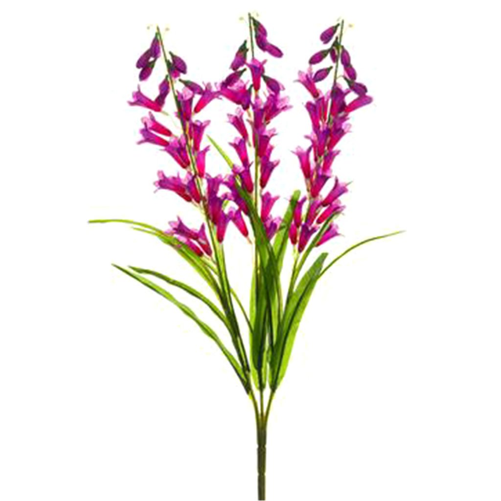 Bellflower Bush x3 Two Tone Purple 25in