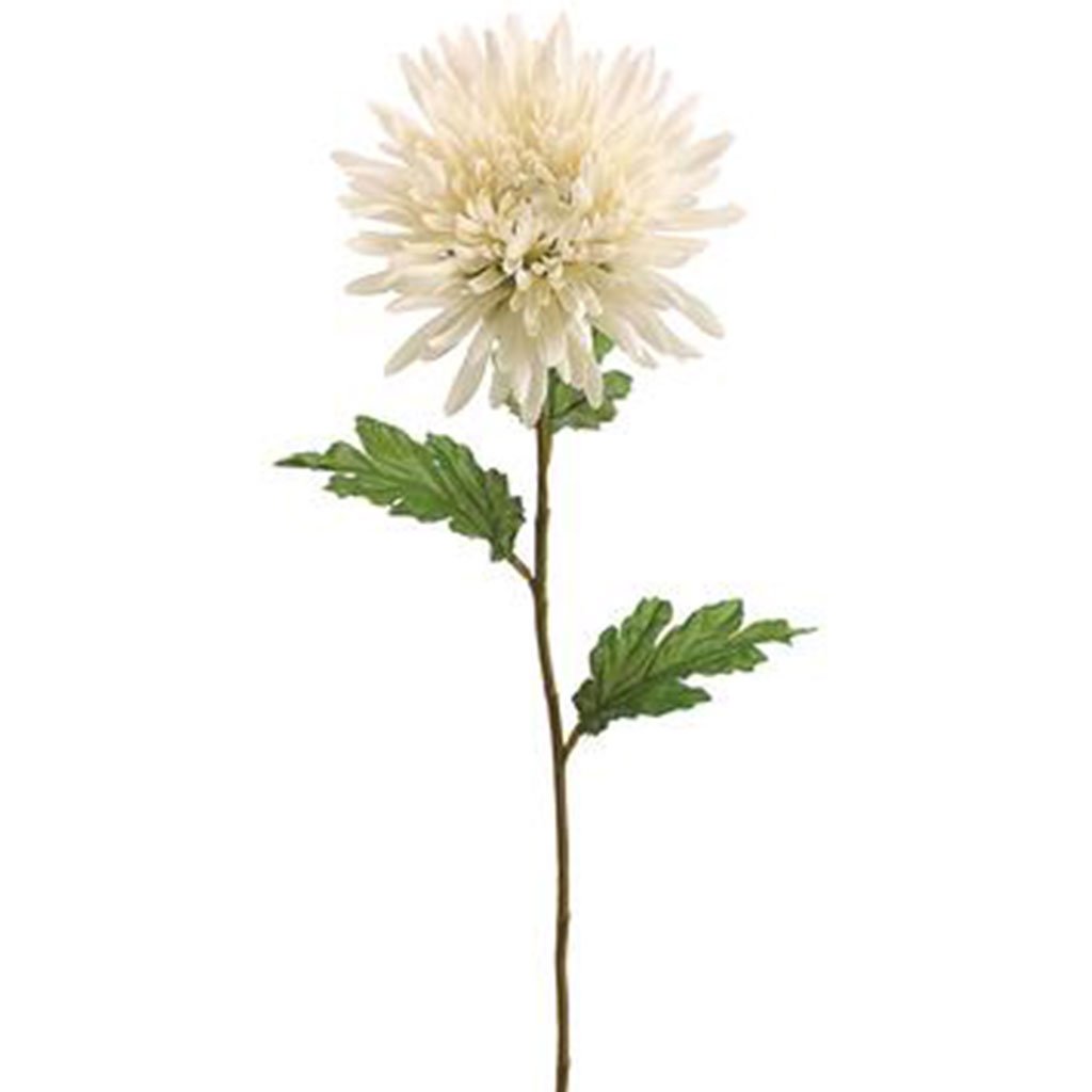 Spider Mum Spray 25in Cream