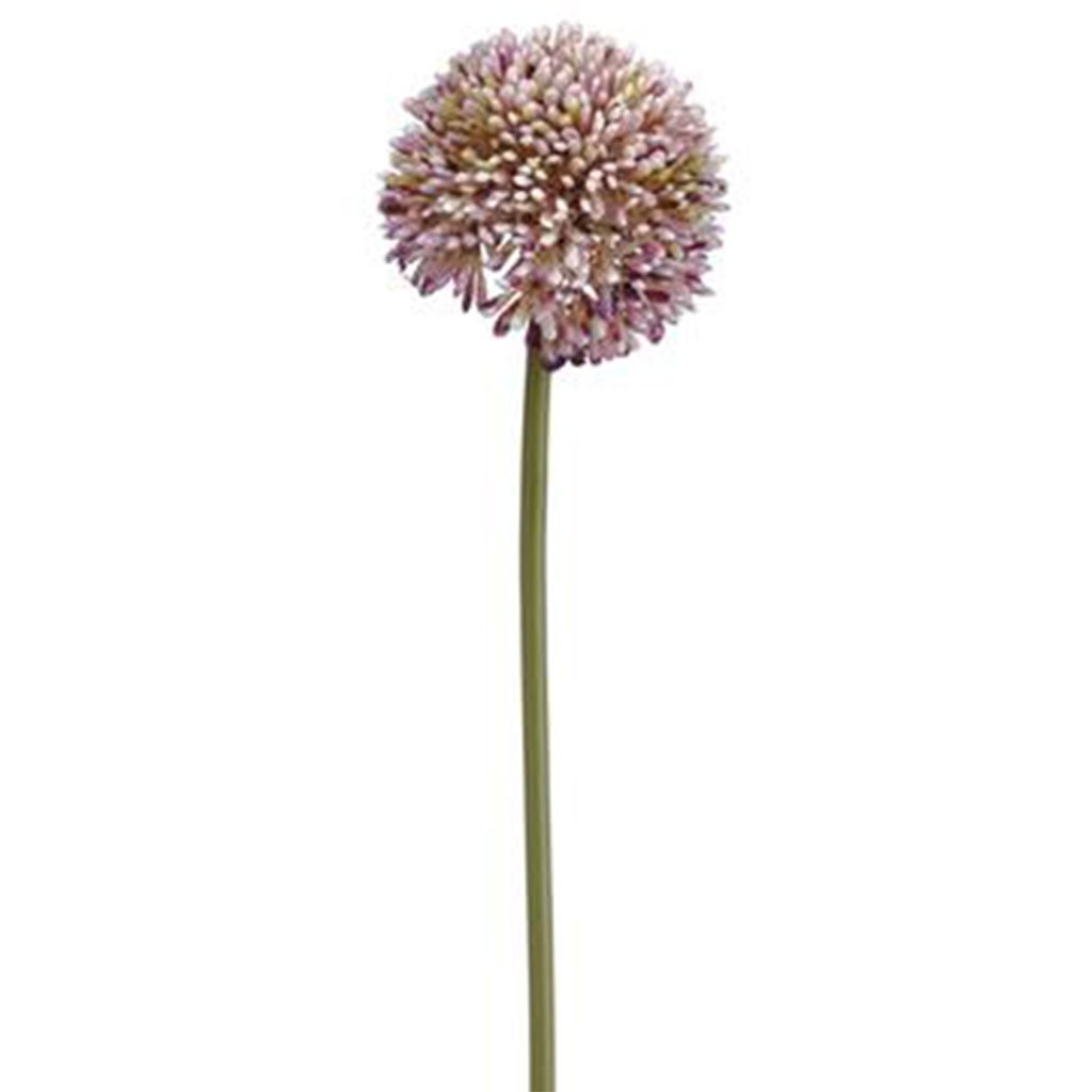 Allium Spray Purple Green 17.5in