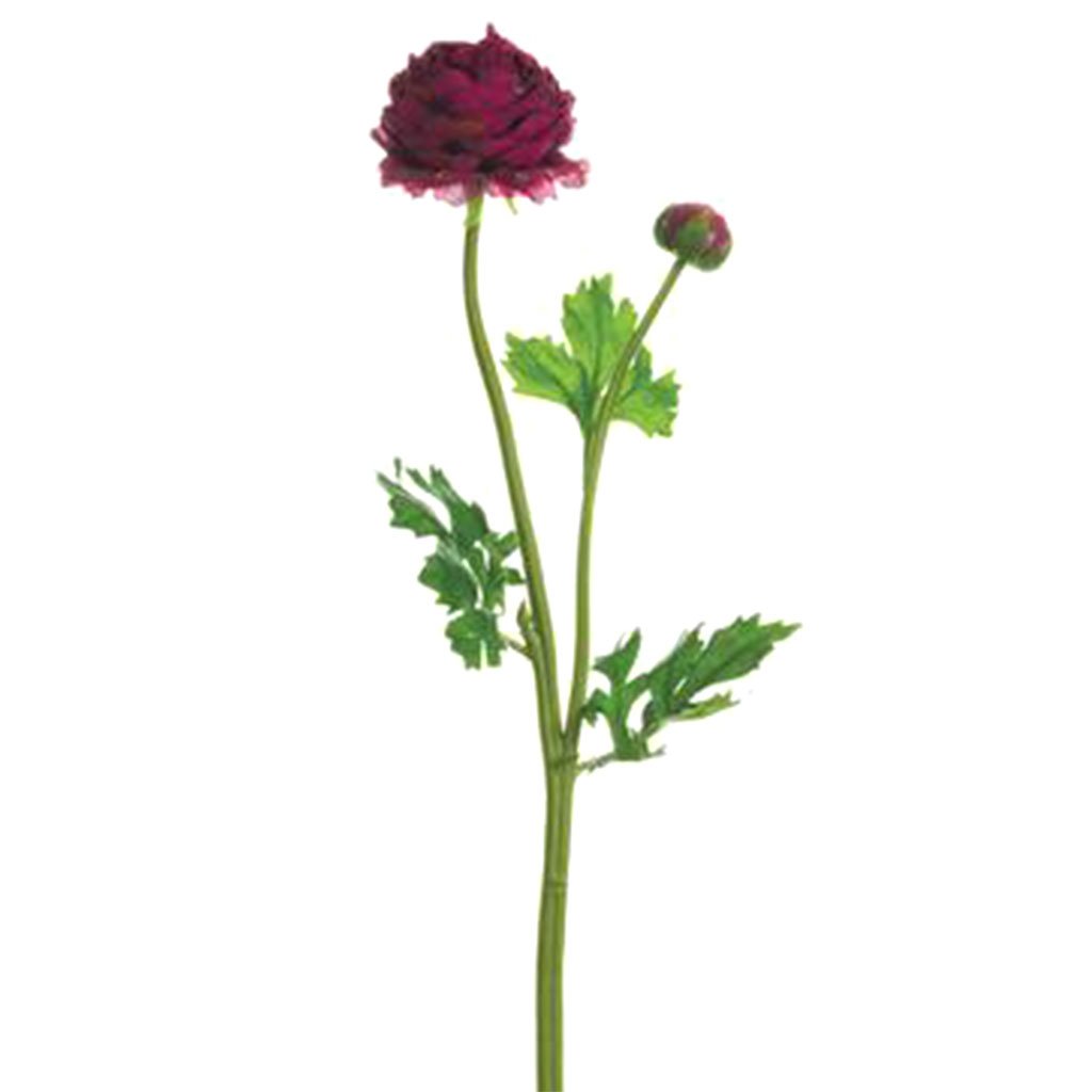 Ranunculus Spray 18.9in Wine