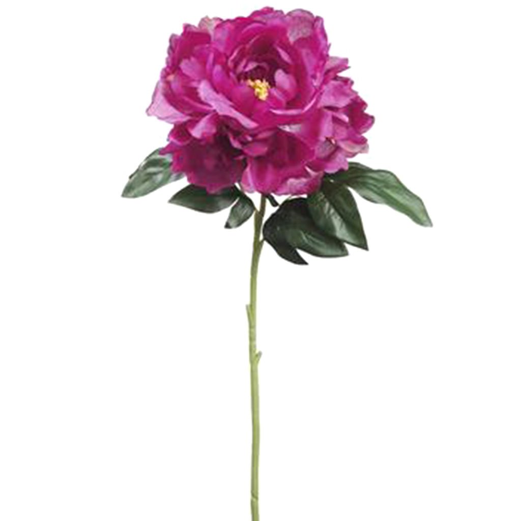 Peony Spray Boysenberry 30in