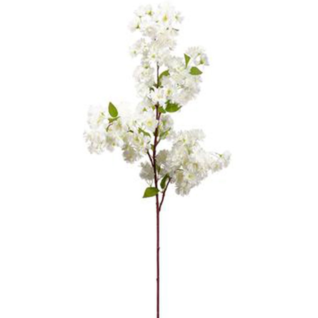 Cherry Blossom Spray 40in Cream