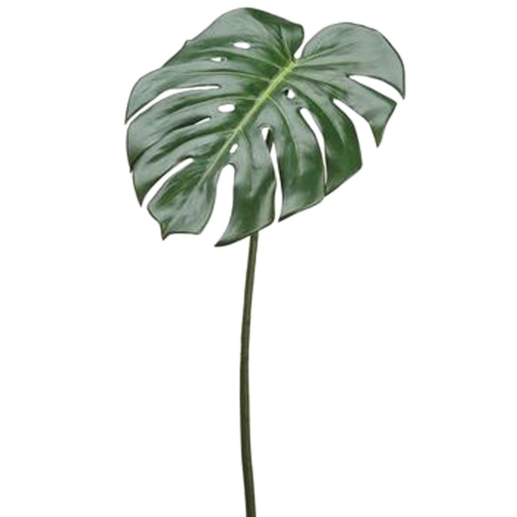 Philodenron Spray 23in Green