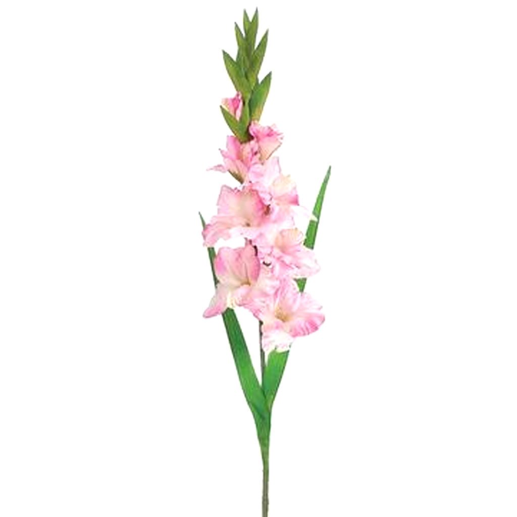 Gladiolus Spray 36.6in