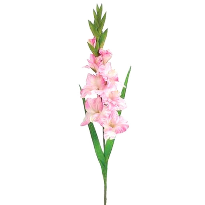 Gladiolus Spray 36in, Pink