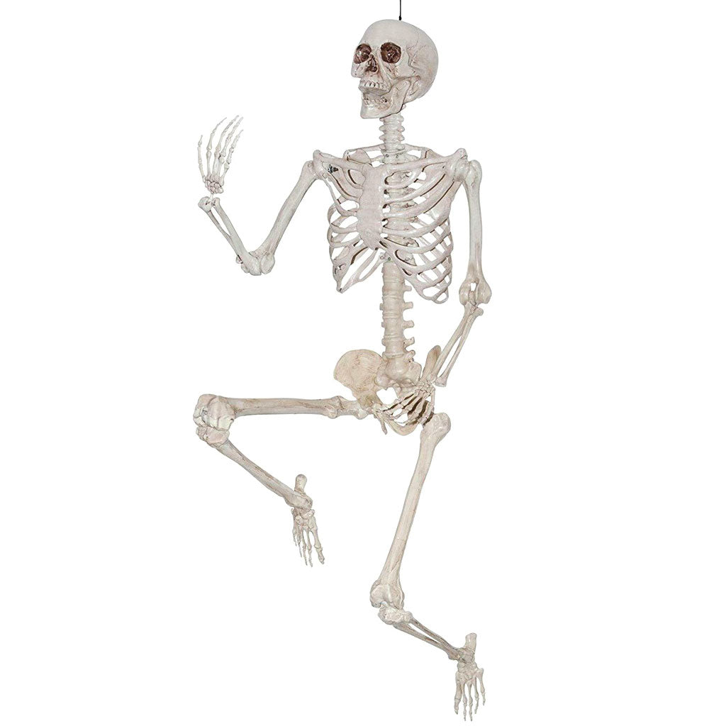 Lifesize Human Skeleton and Reaper – Halloween Giant Props (7ft–12ft)