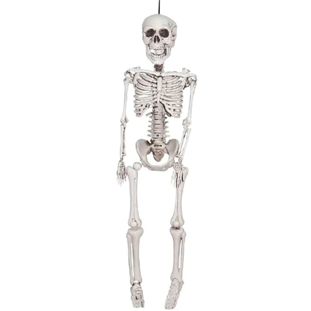 Realistic Plastic Skeleton, 16in