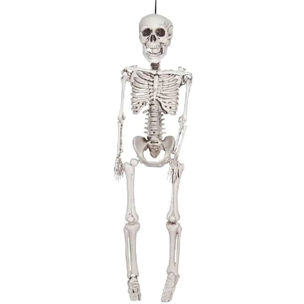 Realistic Plastic Skeleton, 16in