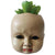 Doll Head Succulent with Blood 3.5in