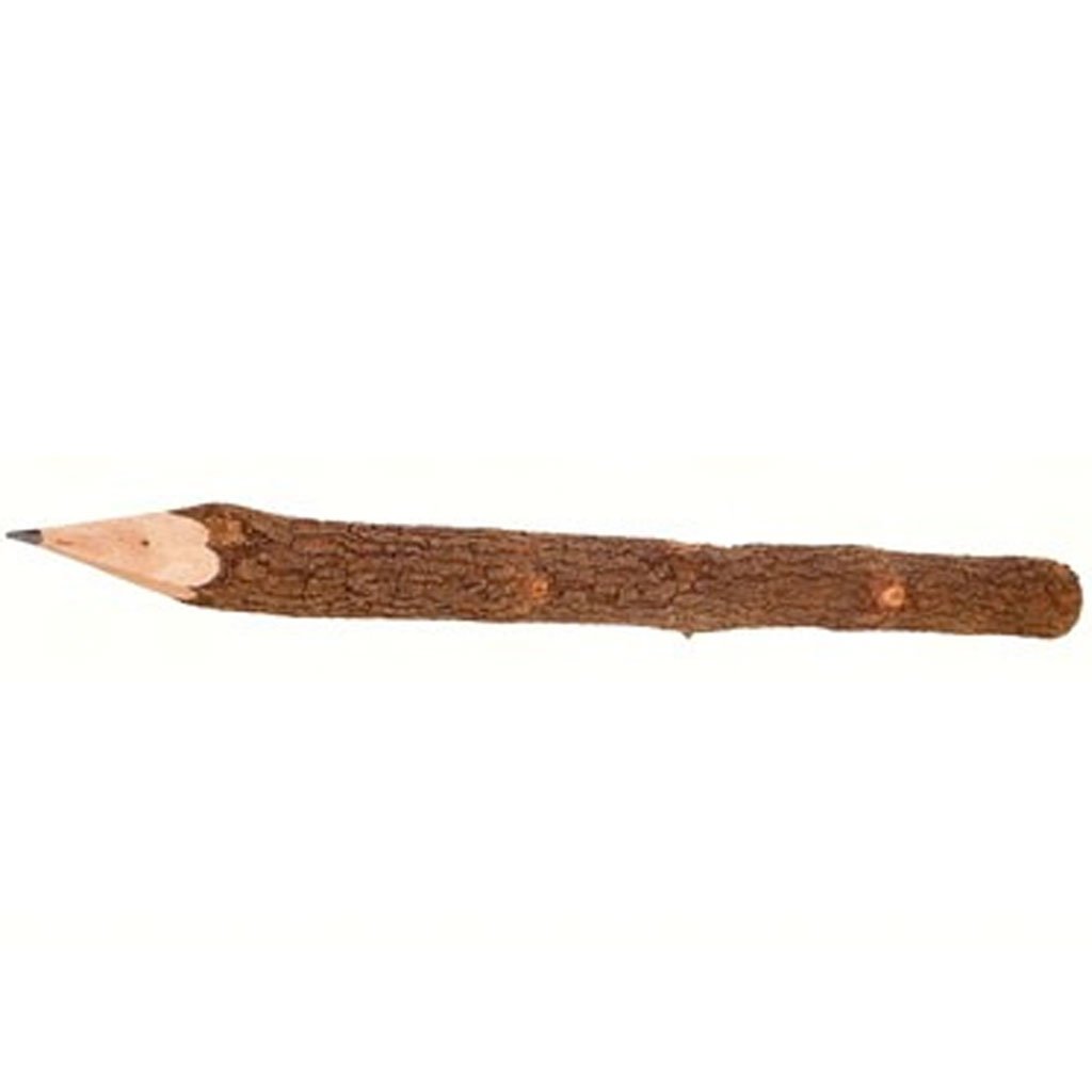 Twig Pencils