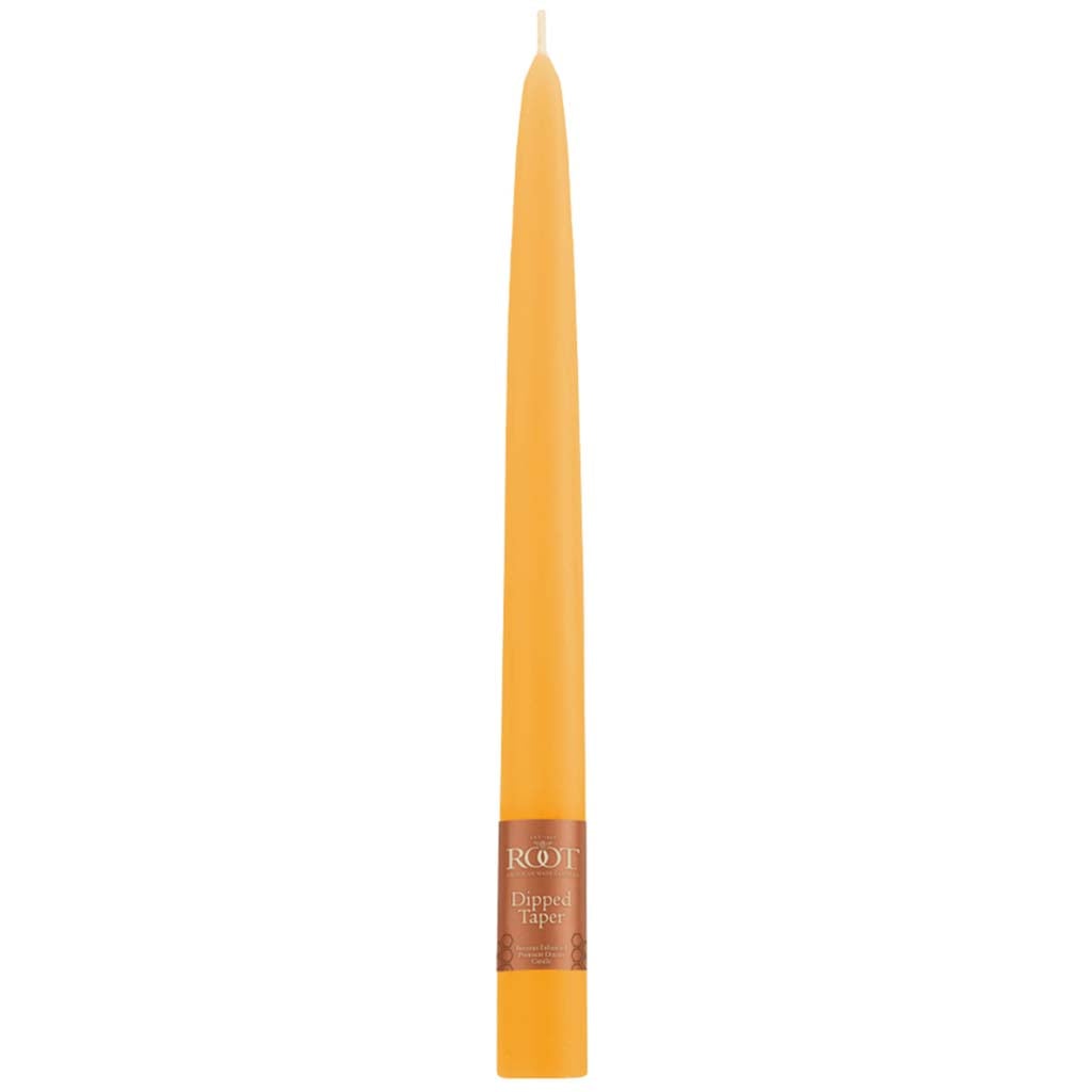 Tapers Candle Butterscotch, 9in