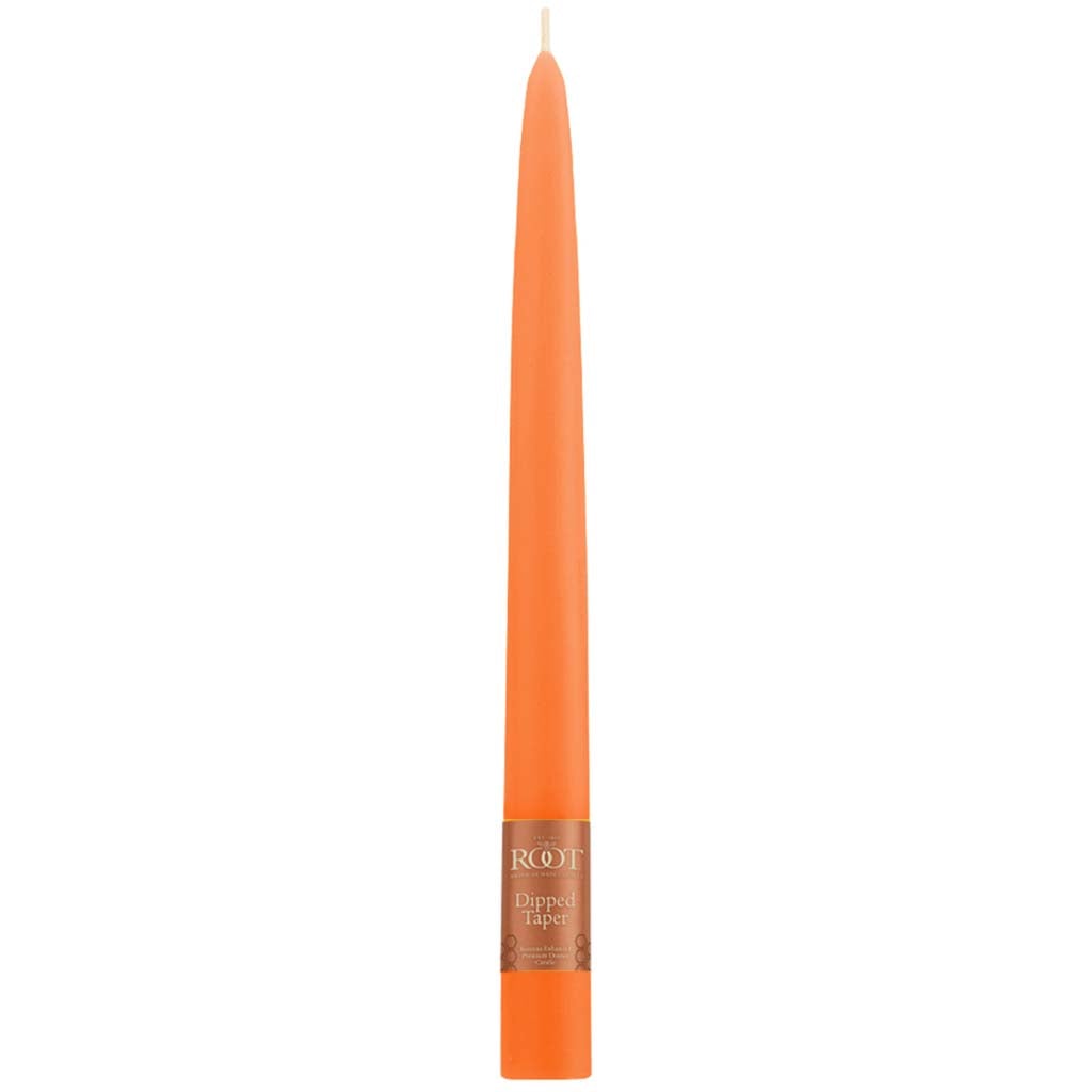 Tapers Candle Pumpkin, 9in