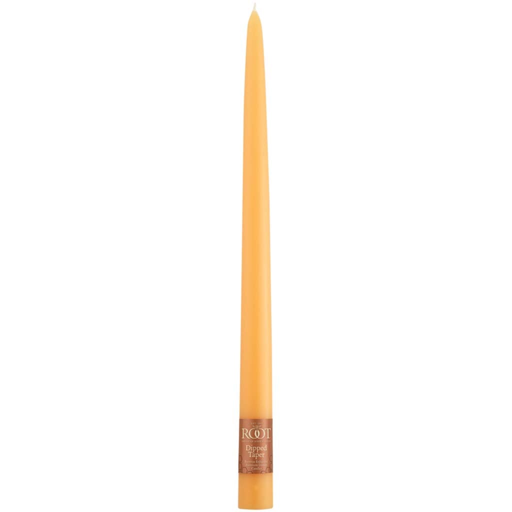 Taper Candle Mandarin, 12in