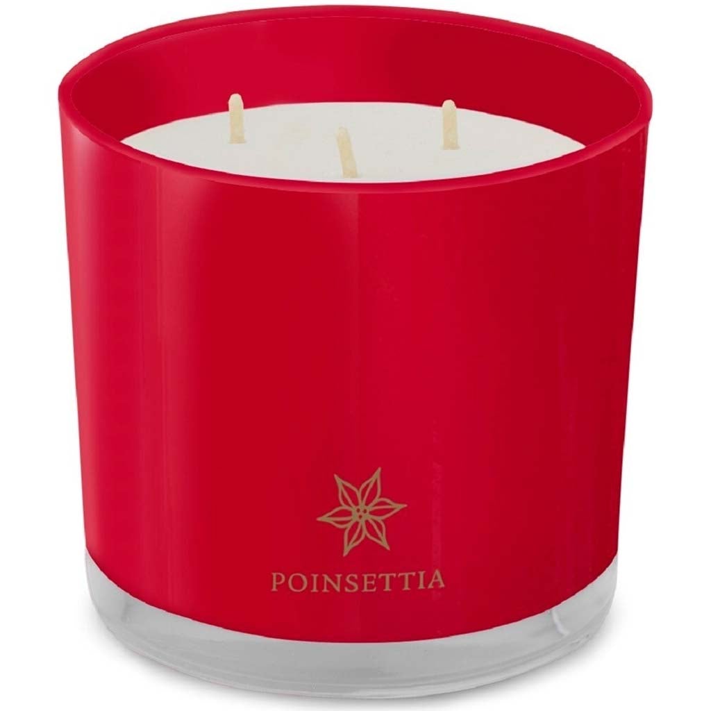 2021 Holiday Collection Poinsettia, 12oz