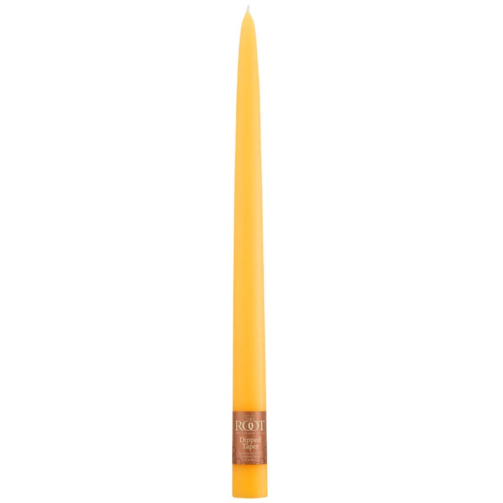 Taper Candle Butterscotch, 12in