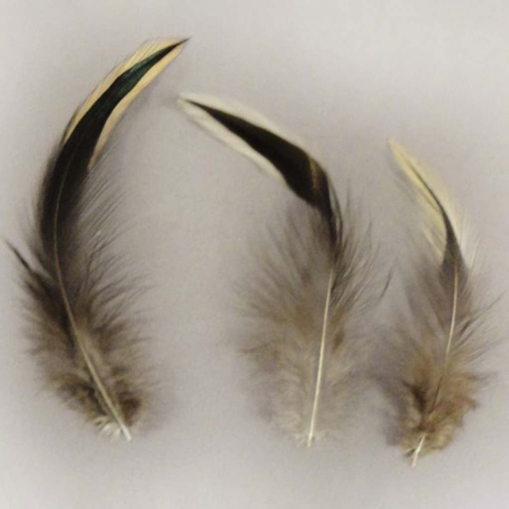 Designer Feather Yellow Badger