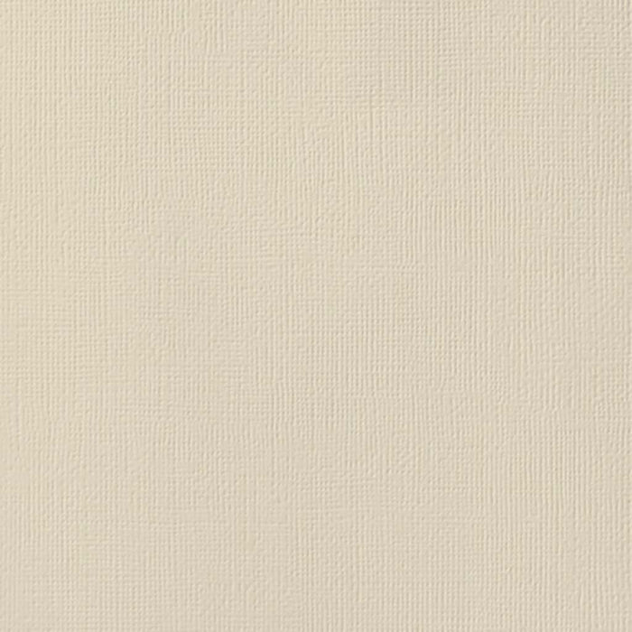 Weave Straw 80lb Textured Cardstock 12in x 12in