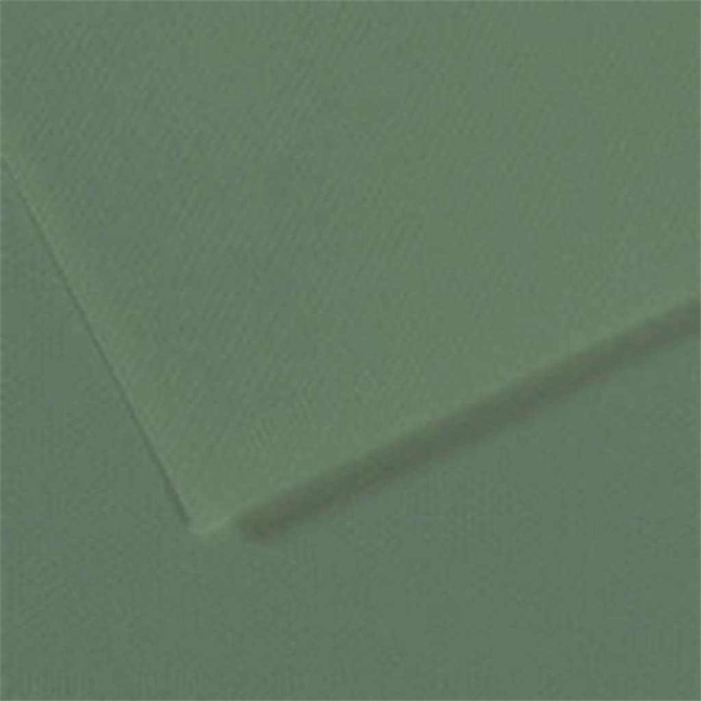 Mi-Teintes Drawing Paper 19in x 25in Sage Green