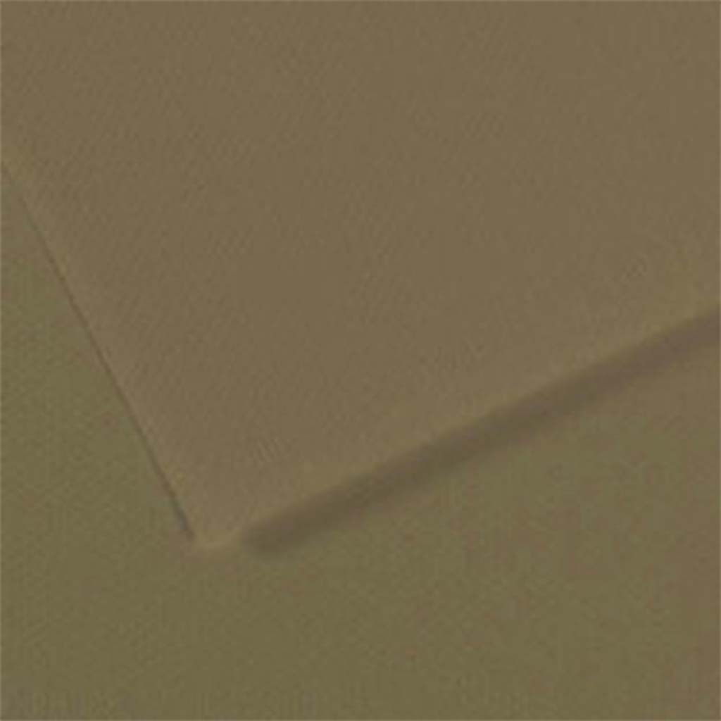 Mi-Teintes Drawing Paper 19in x 25in Olive Green