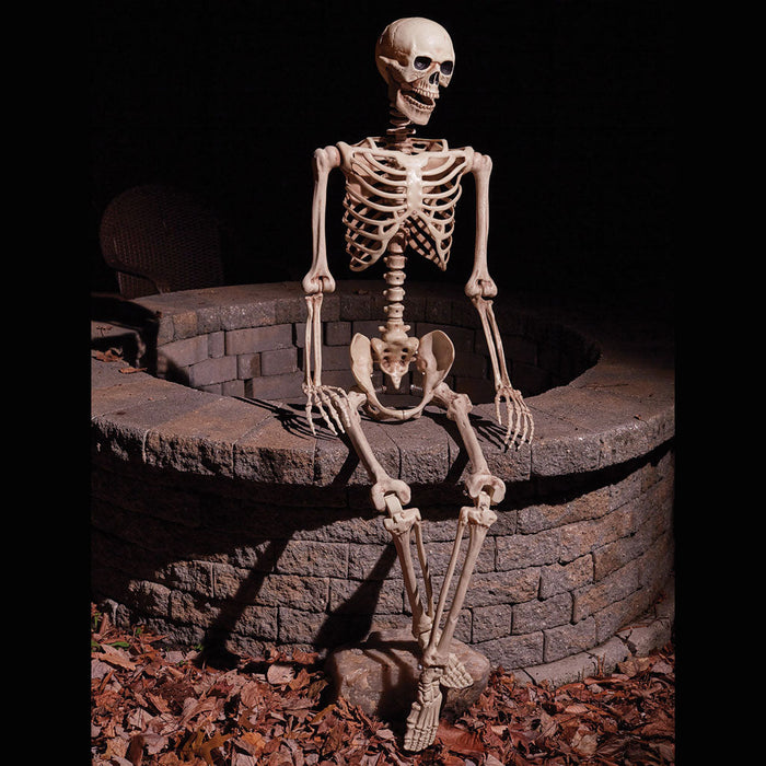 Articulated Natural Skeleton, 60in